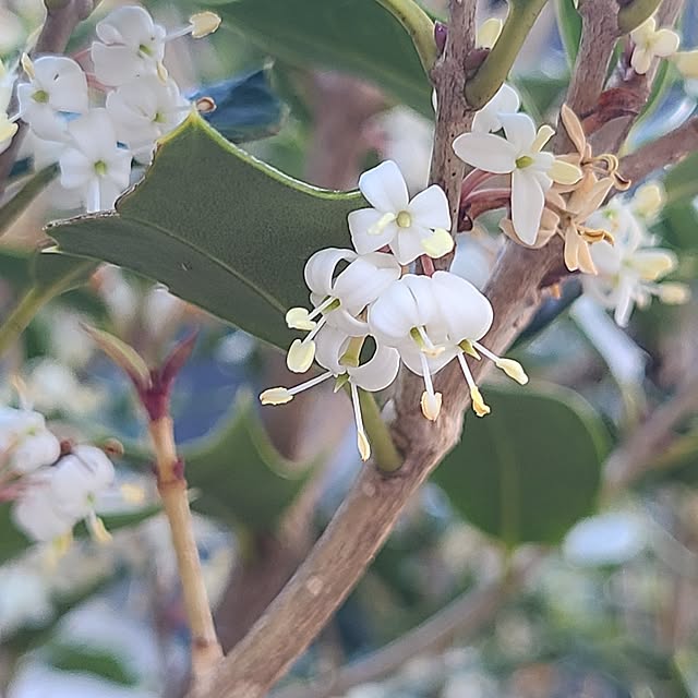 Rubiconさんの部屋