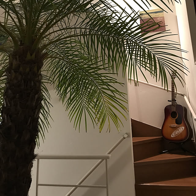 tkさんの実例写真
