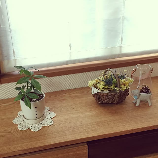 yuuさんの実例写真