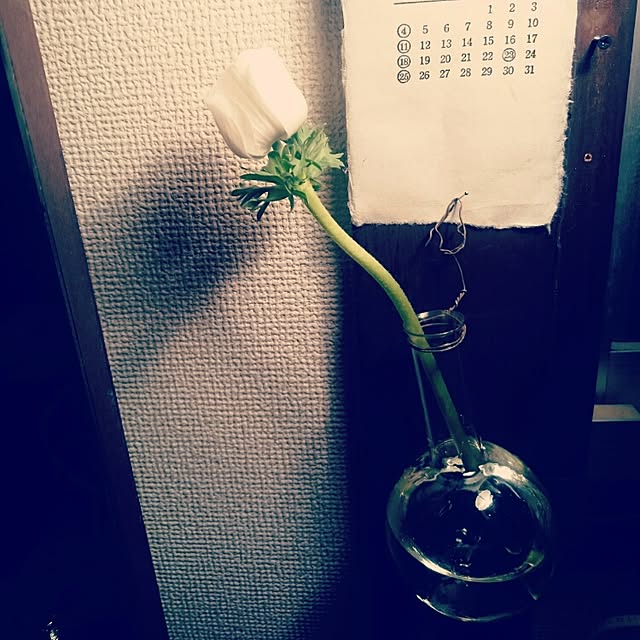 soujoh_さんの実例写真