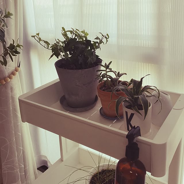 marikaさんの実例写真