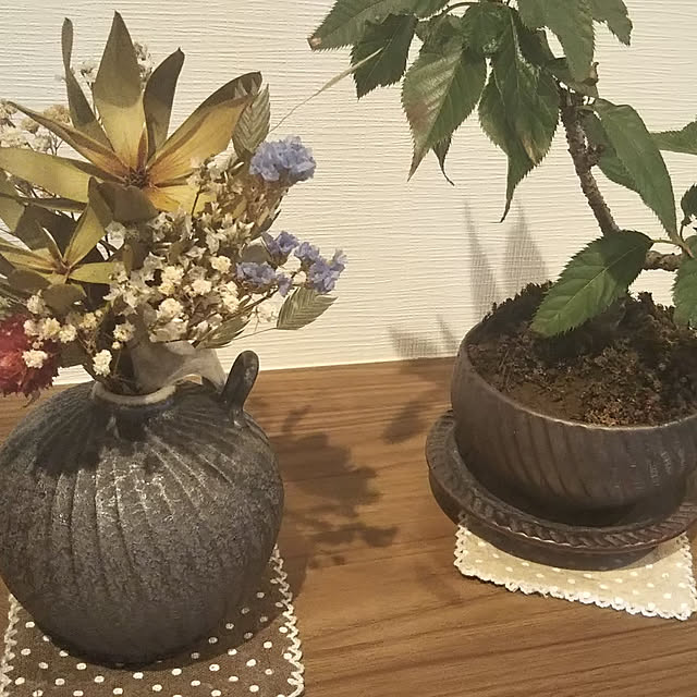 ayaさんの実例写真