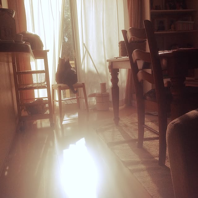 maoshinさんの実例写真