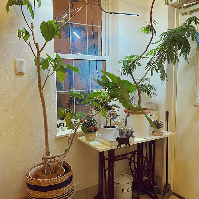 jamさんの部屋