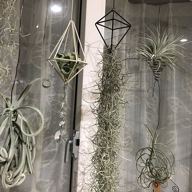 MiRiderさんの実例写真