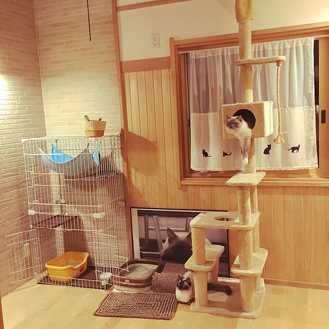 Masaoさんの実例写真