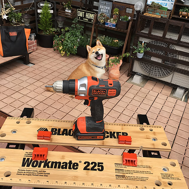 ronmaruさんの実例写真