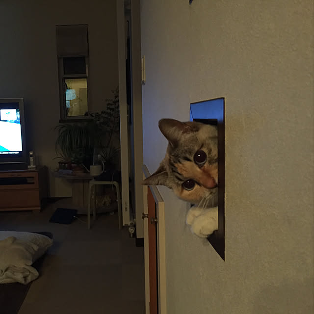 nanaさんの実例写真