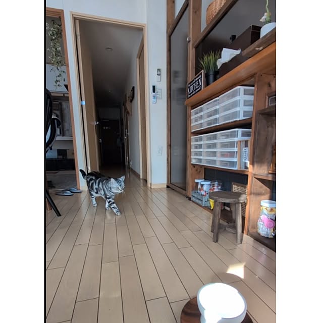 lovepeaceさんの実例写真