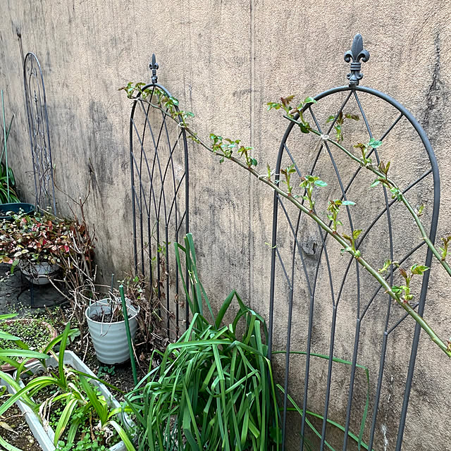 fumikoiさんの部屋