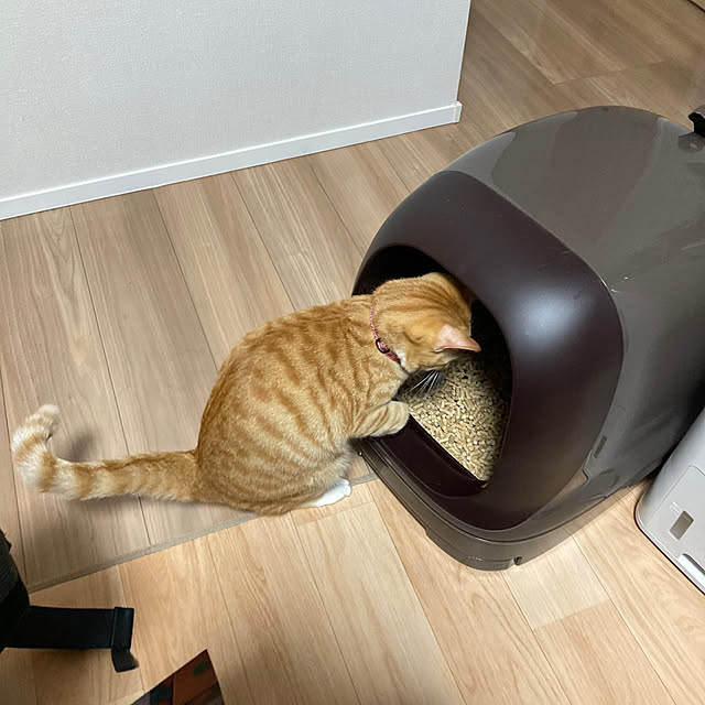 abebiさんの実例写真