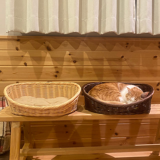 senbei.sakuramochiさんの実例写真
