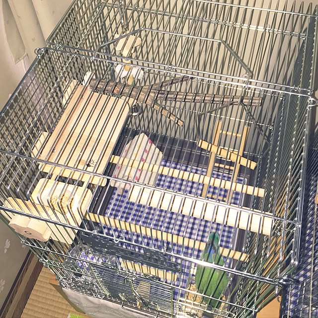 pipiさんの実例写真