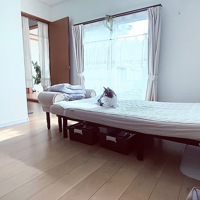 +CHIHARU+さんの実例写真