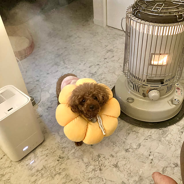MOMOMAMAさんの実例写真