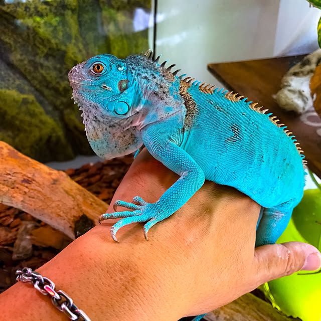 fundiveさんの実例写真