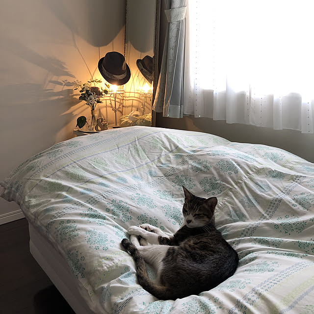 kafukaさんの実例写真