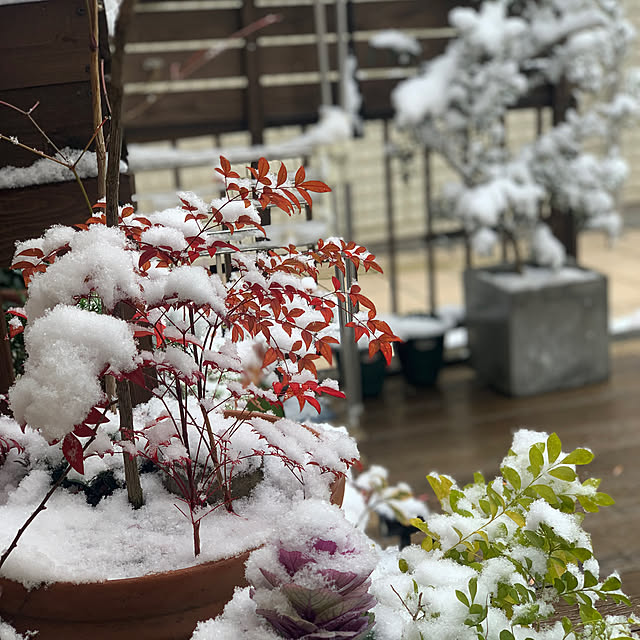 masakoさんの実例写真