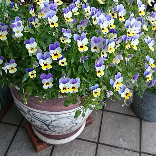 hiro1244さんの実例写真