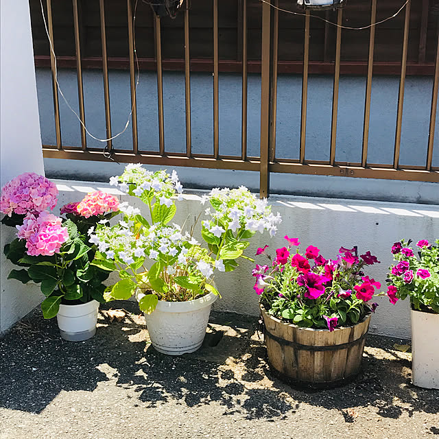 masaさんの実例写真