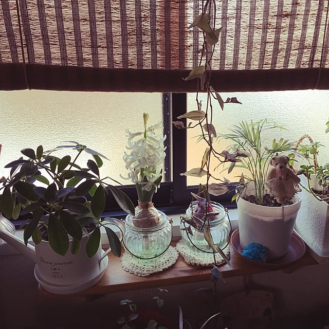 love1231さんの実例写真