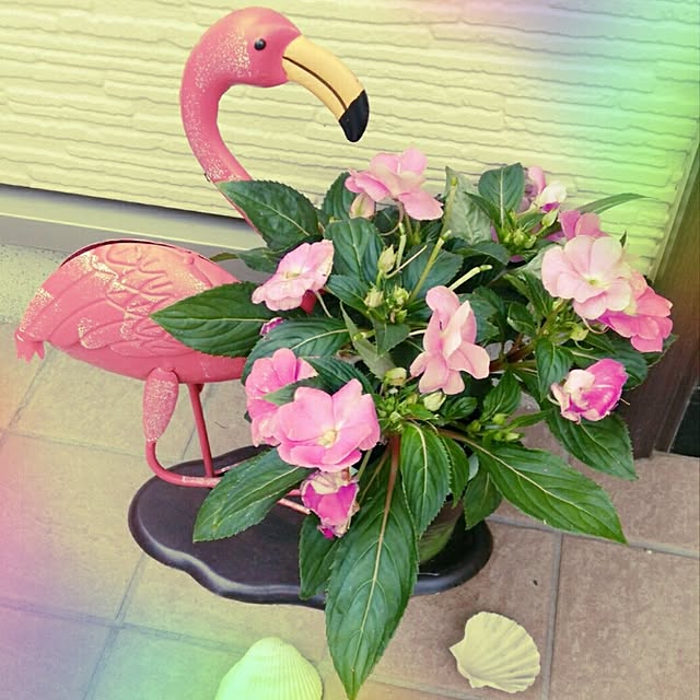 loveさんの実例写真
