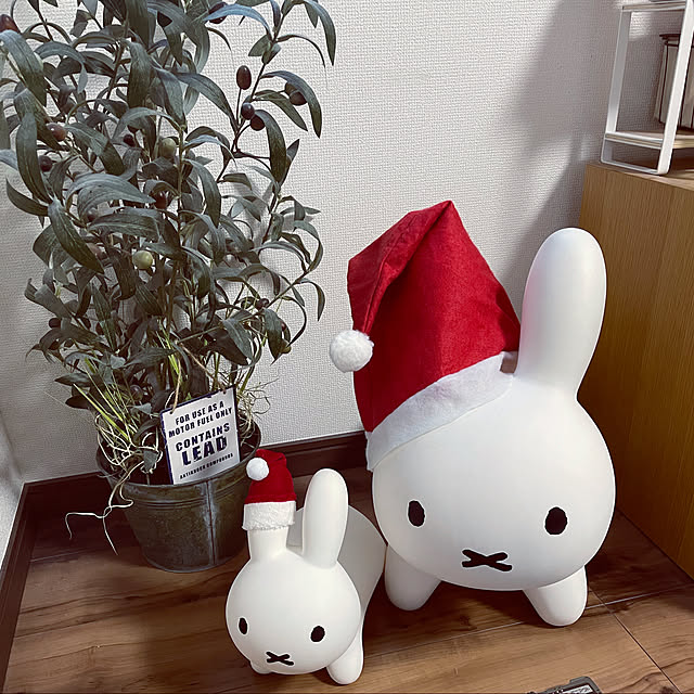 Yukicotoさんの実例写真