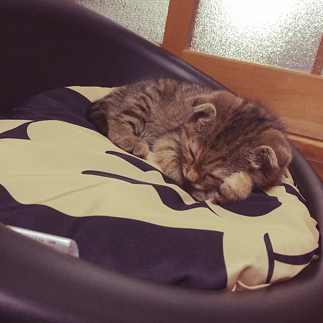 okanさんの実例写真