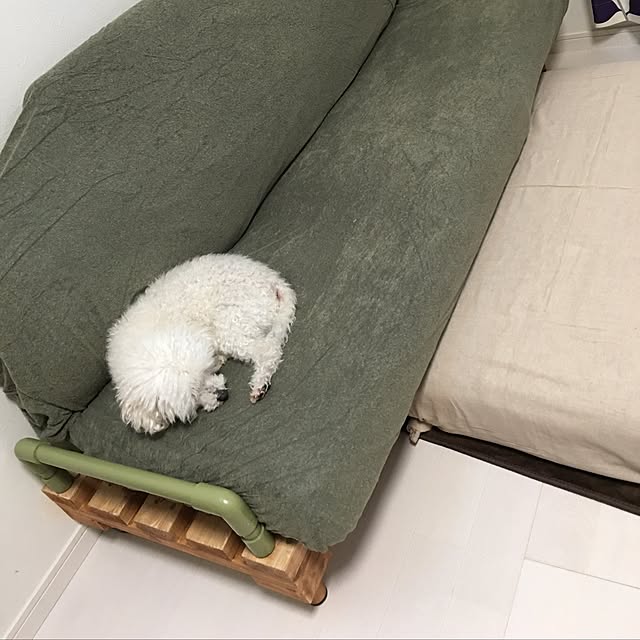 takumiikoさんの実例写真