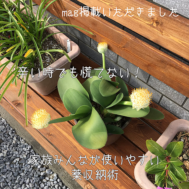 importantさんの実例写真