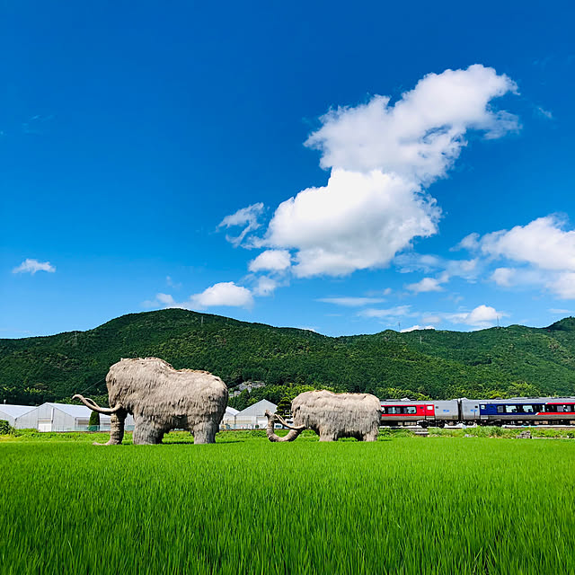 mama-mammothさんの実例写真