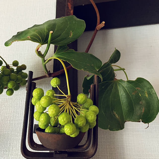 syutmmさんの部屋