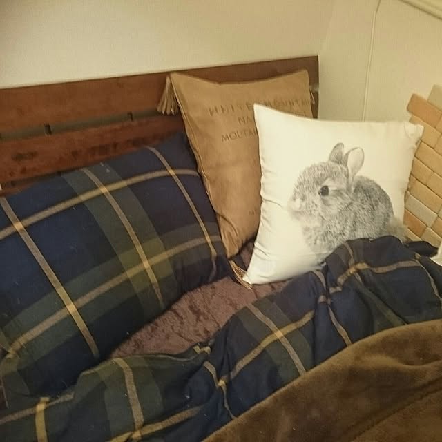 annさんの実例写真