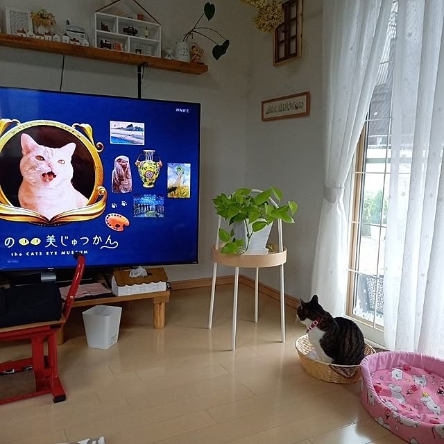 civicglさんの実例写真