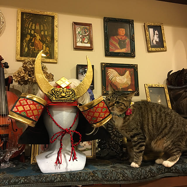 shigimiさんの実例写真