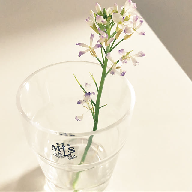 Ankotanさんの実例写真