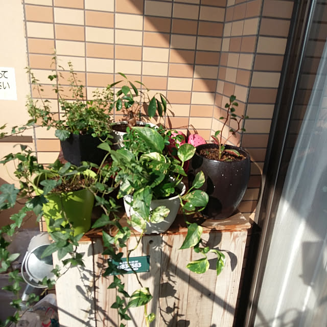 noriさんの実例写真