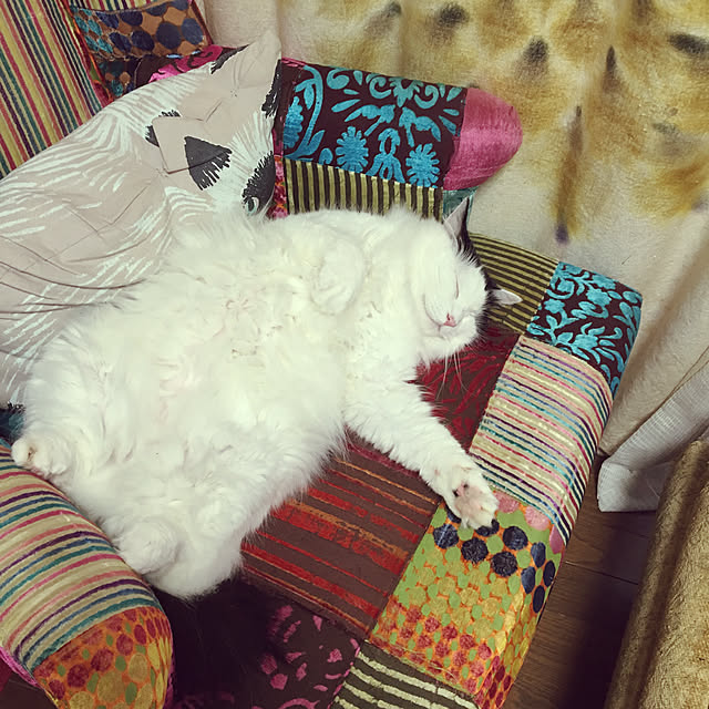 matatabi88さんの実例写真