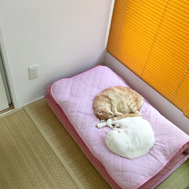 Minakoさんの実例写真