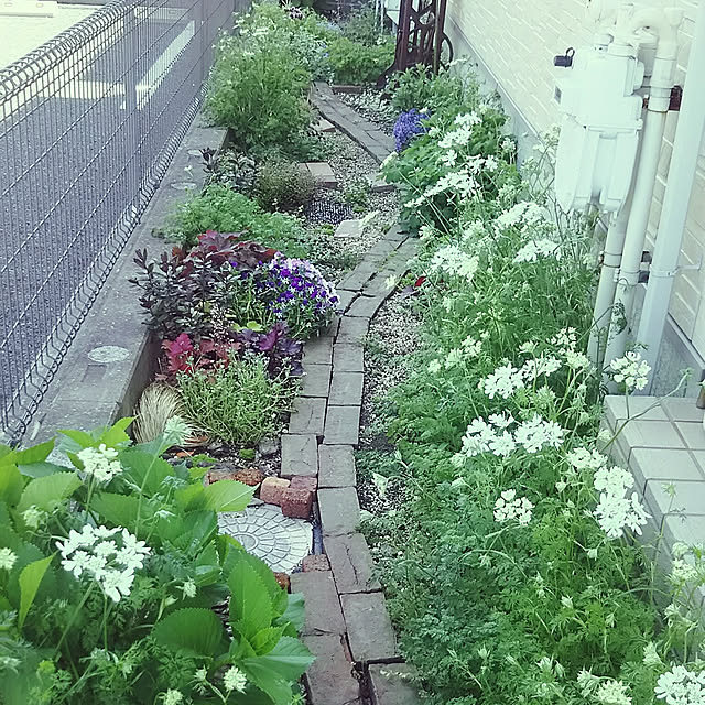 sayaさんの実例写真