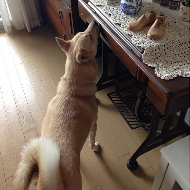 leonaさんの実例写真