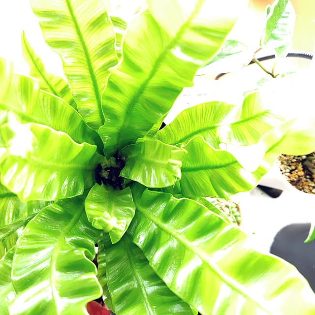 nachiさんの部屋