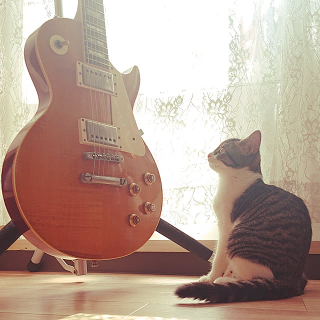 aichanさんの実例写真