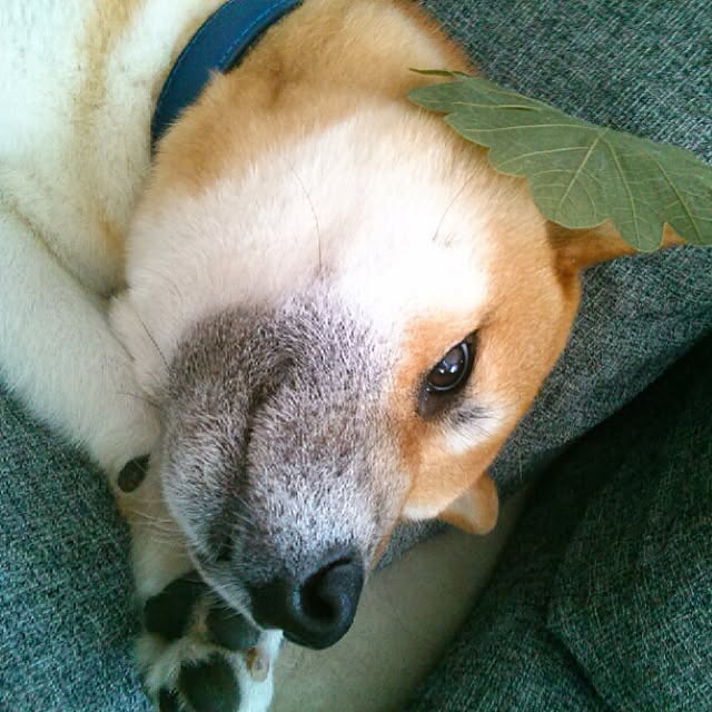 kotaさんの実例写真