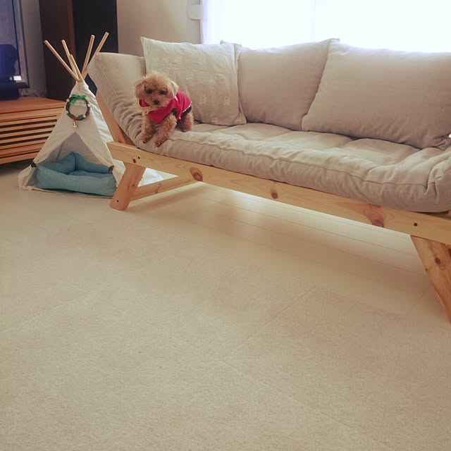 aosotaさんの実例写真