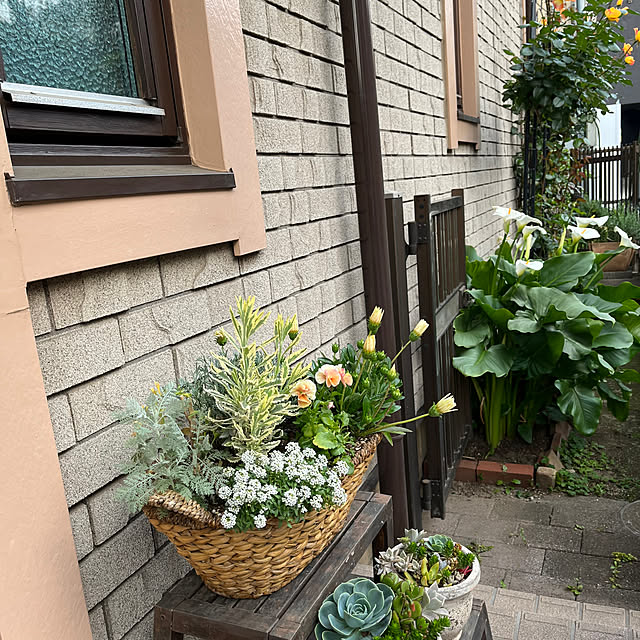 botanさんの部屋