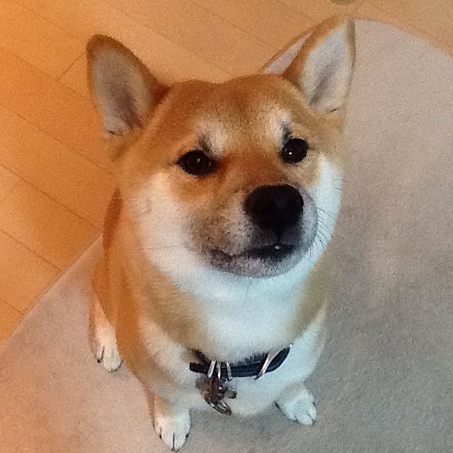 kotaさんの実例写真