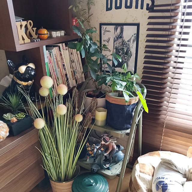 Pakkun-Anさんの実例写真