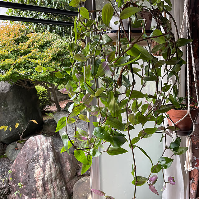 shin0719さんの部屋