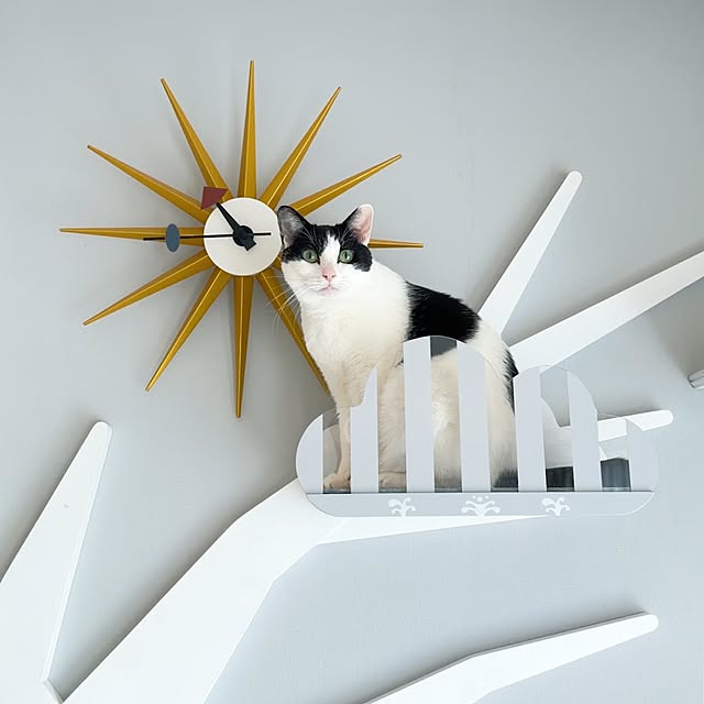 mjket.mysaさんの実例写真